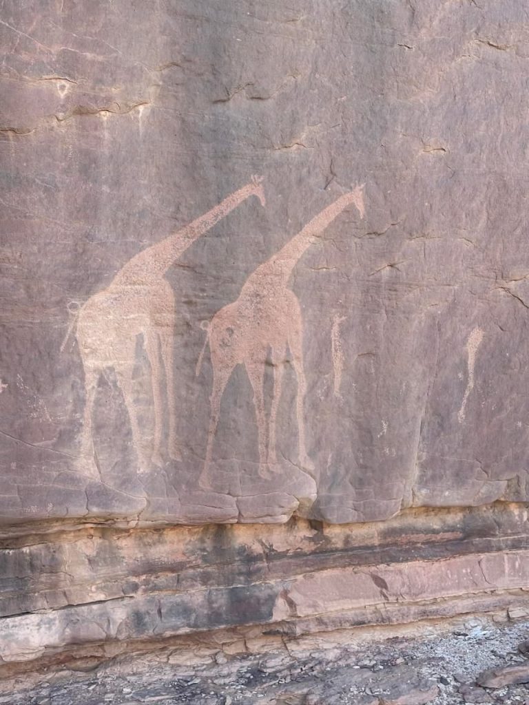 whatsapp image 2026 02 11 at 01.37.24